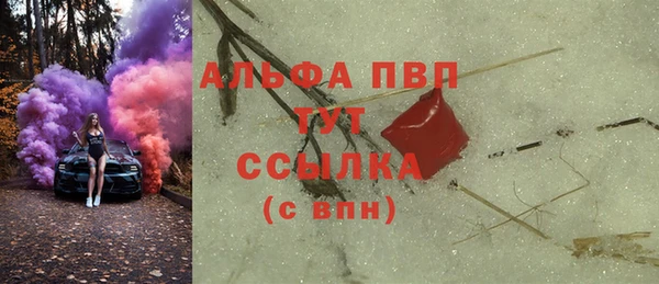 прущие грибы Белокуриха
