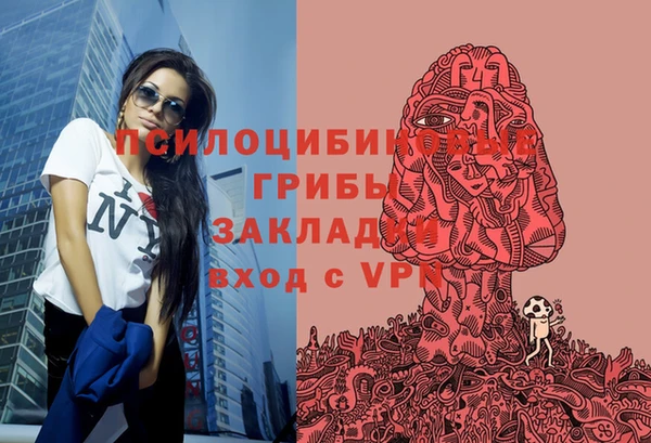 синтетический гашиш Богородицк