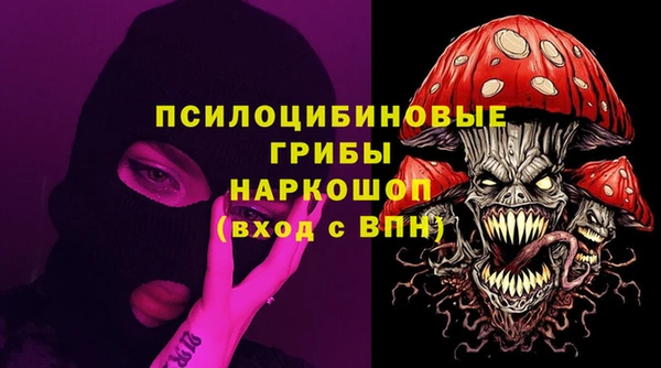 хмурый Богородск