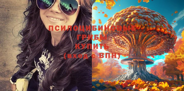 хмурый Богородск
