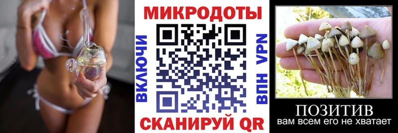 Галлюциногенные грибы Magic Shrooms  kraken   Дигора 